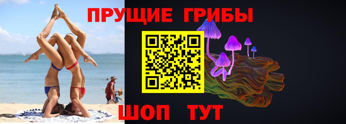 Псилоцибиновые грибы Psilocybe Лесной